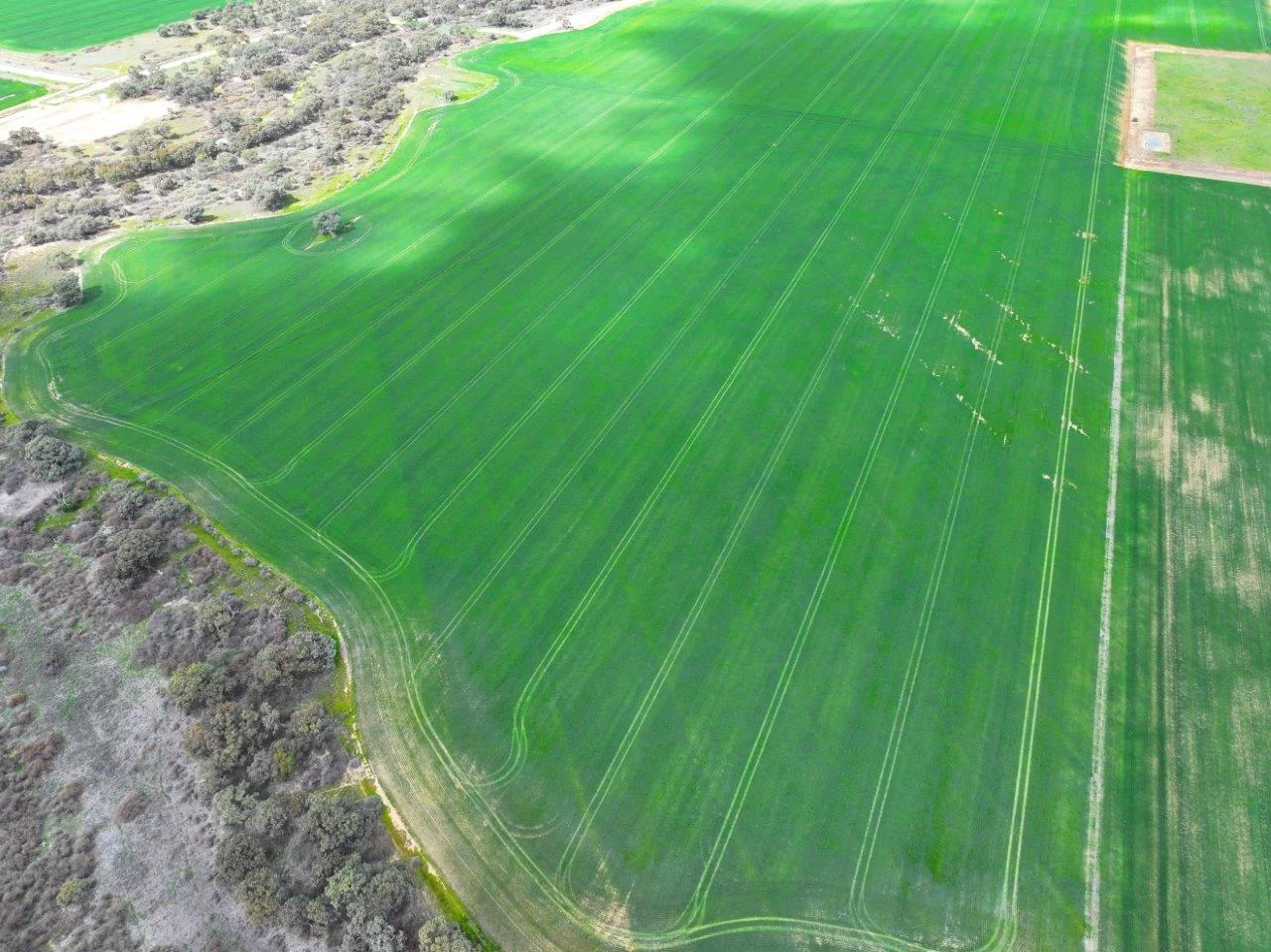 Additional image 10 of - Oneil Street, Pyramid Hill VIC 3575