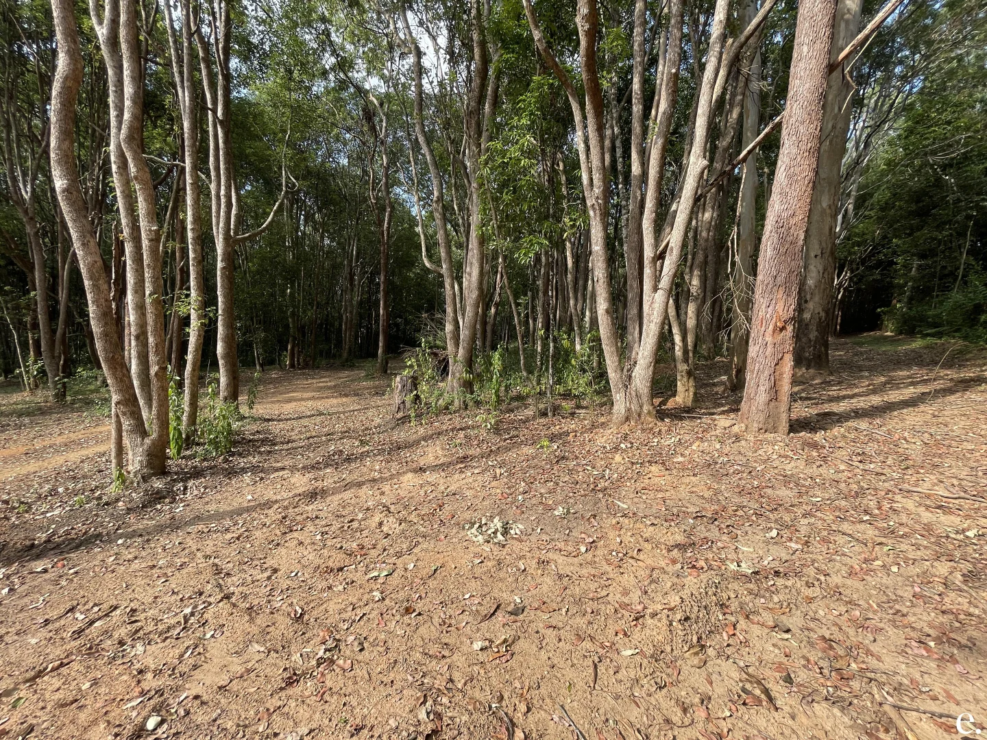 Additional image 34 of Lot 3-9/3 Penda Street, Yungaburra QLD 4884