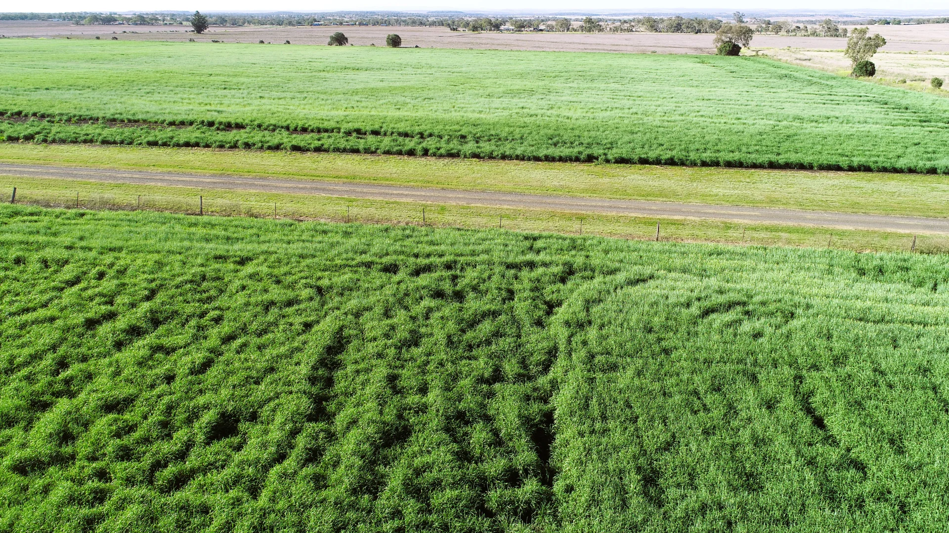 Additional image 15 of 'The Overflow' 102 Crighton Road, Biddeston QLD 4401