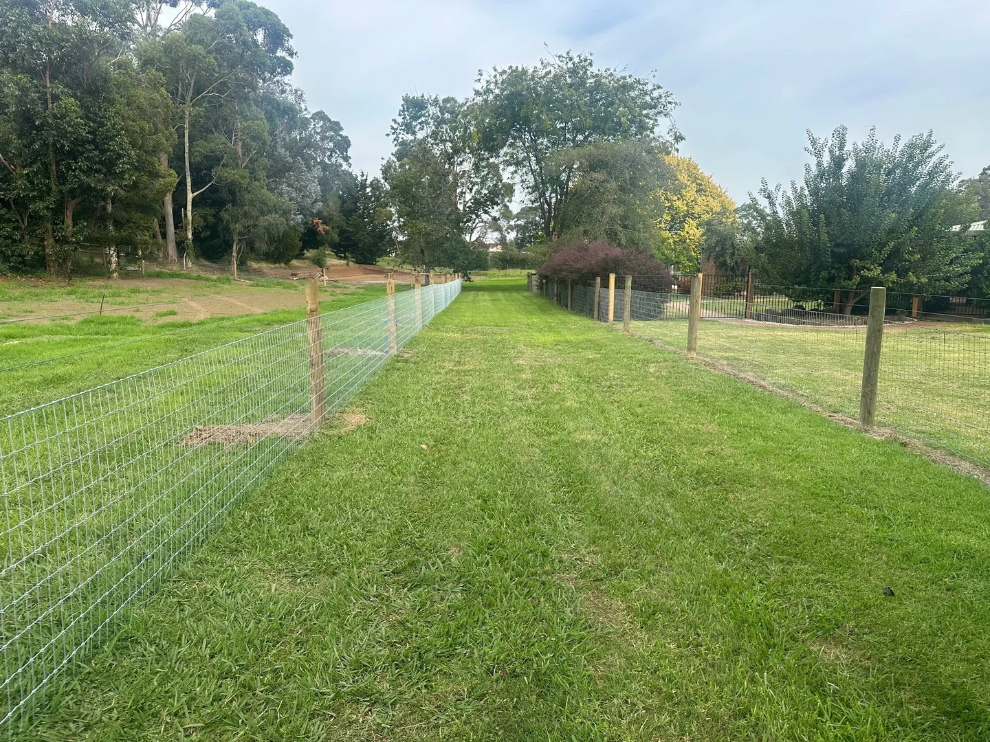 Additional image 4 of 24 Gray Street, Leongatha VIC 3953