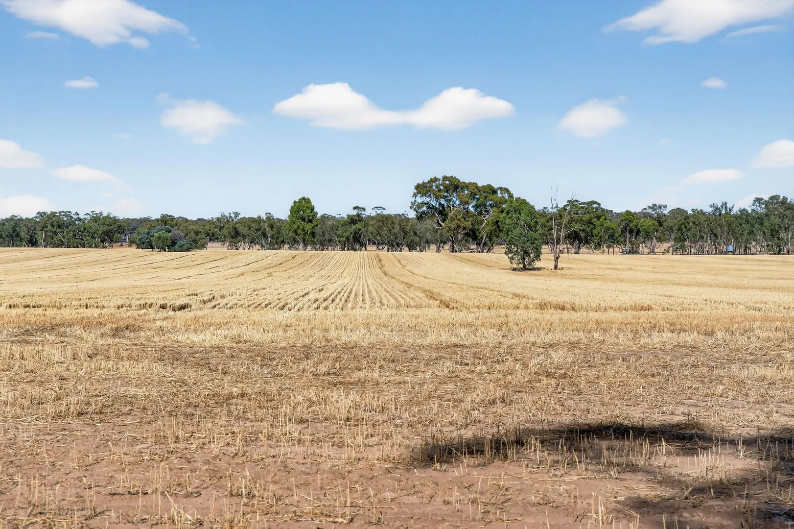 Additional image 3 of 99 Winzar Lane, Goornong VIC 3557