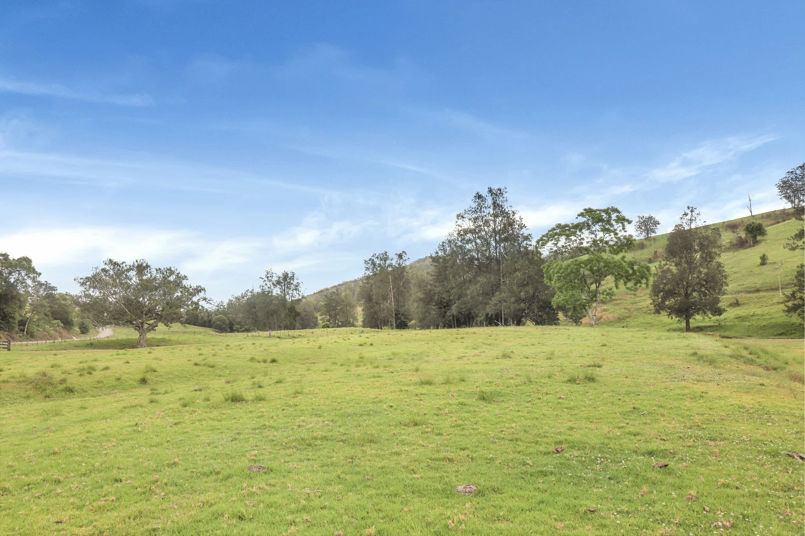 Additional image 40 of 3914 Taylors Arm Rd, Burrapine NSW 2447