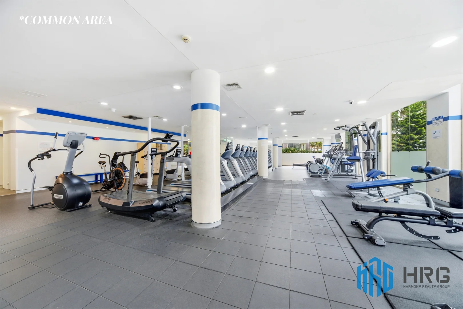 Additional image 10 of 282/8 Lachlan street, Waterloo NSW 2017