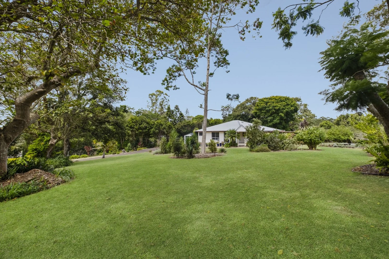 Additional image 5 of 87 Teutoberg Avenue, Witta QLD 4552