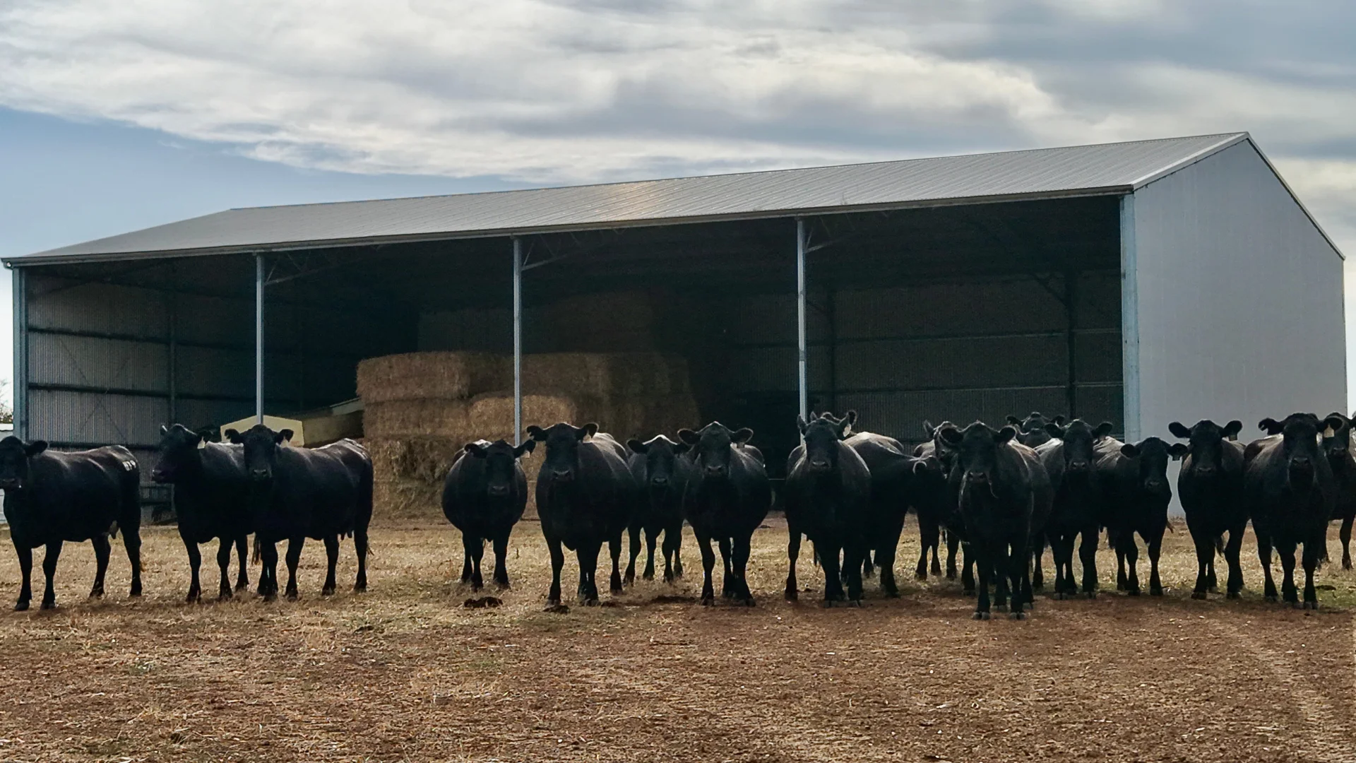 Additional image 14 of 4842 Chester Pass Road, Takalarup WA 6324