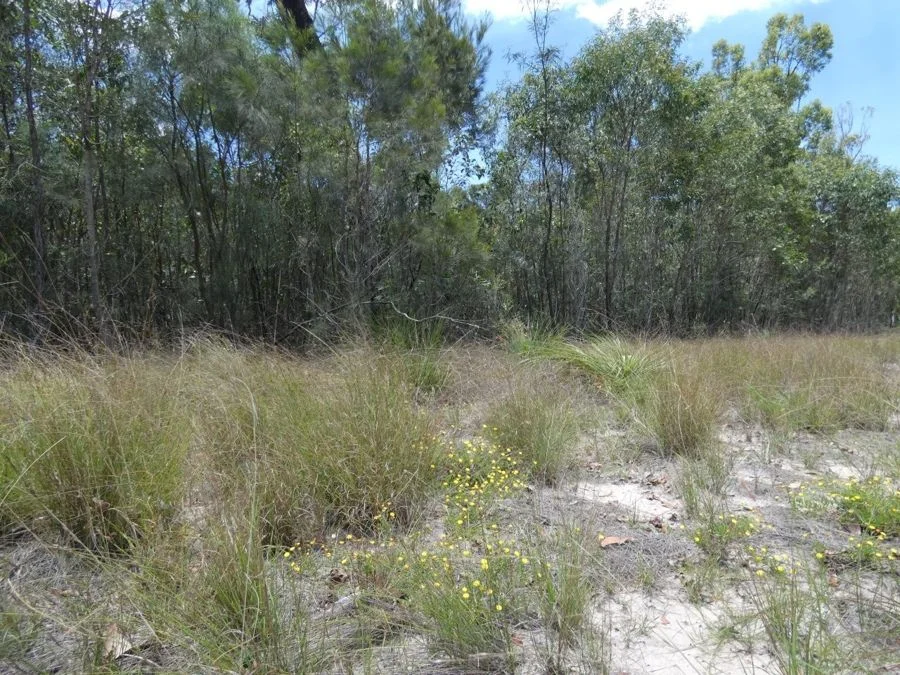Additional image 19 of 668 Matchbox Road, Deepwater QLD 4674