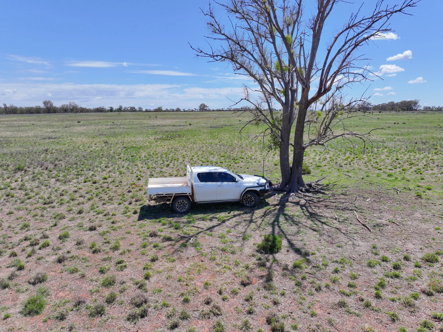Additional image 4 of 735 Clear Ridge Road, Wyalong NSW 2671