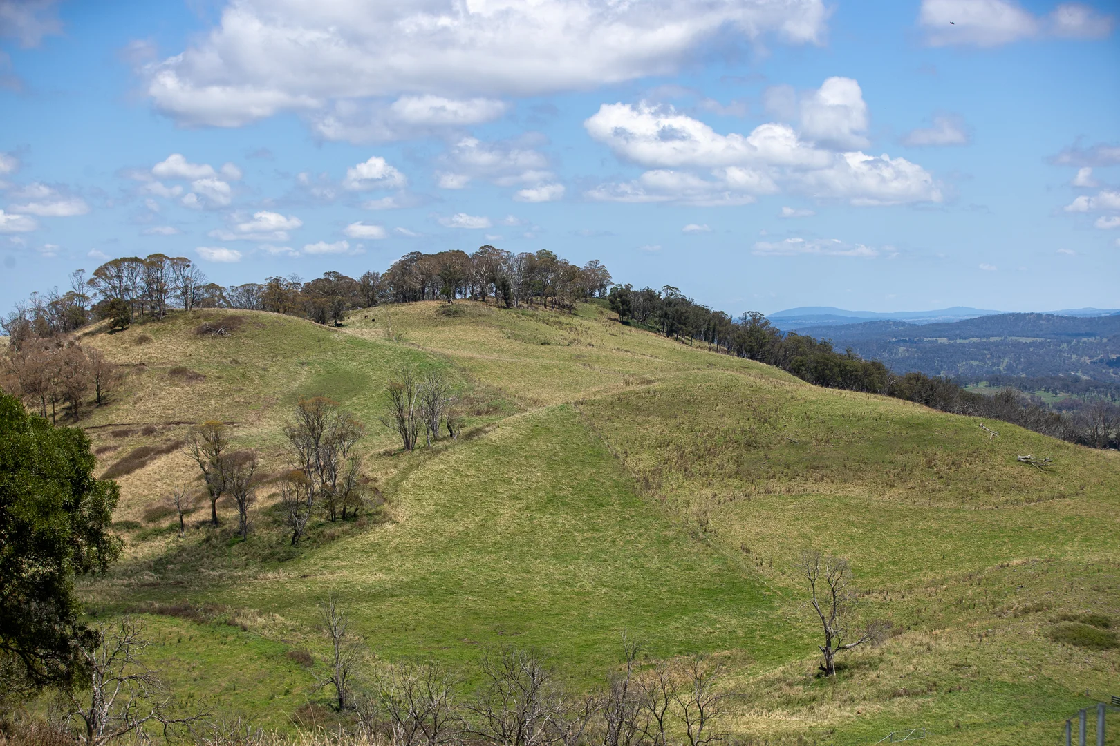 Additional image 11 of 1763 Wongwibinda Road, Armidale NSW 2350