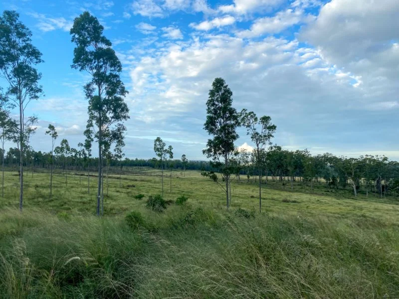 Additional image 11 of 225 BEILS ROAD, Kingaroy QLD 4610