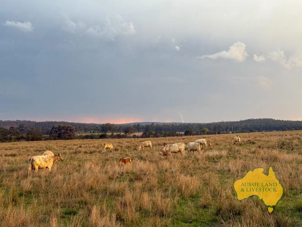 Additional image 2 of 373 Ormonde Road, Monogorilby QLD 4626