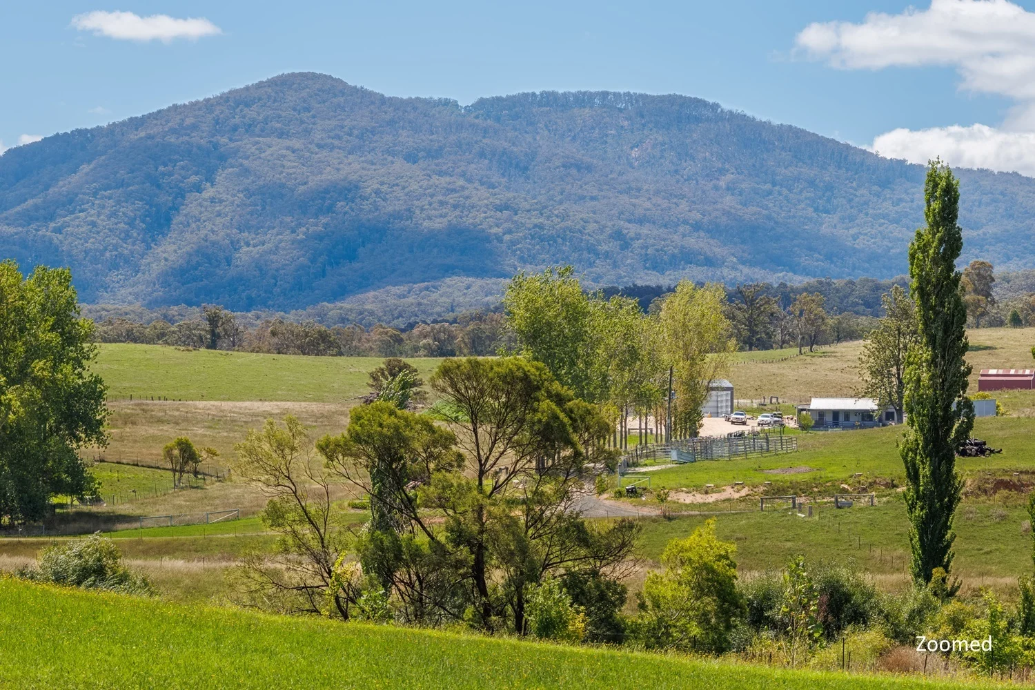 Additional image 10 of 11 Towamba St, Towamba NSW 2550