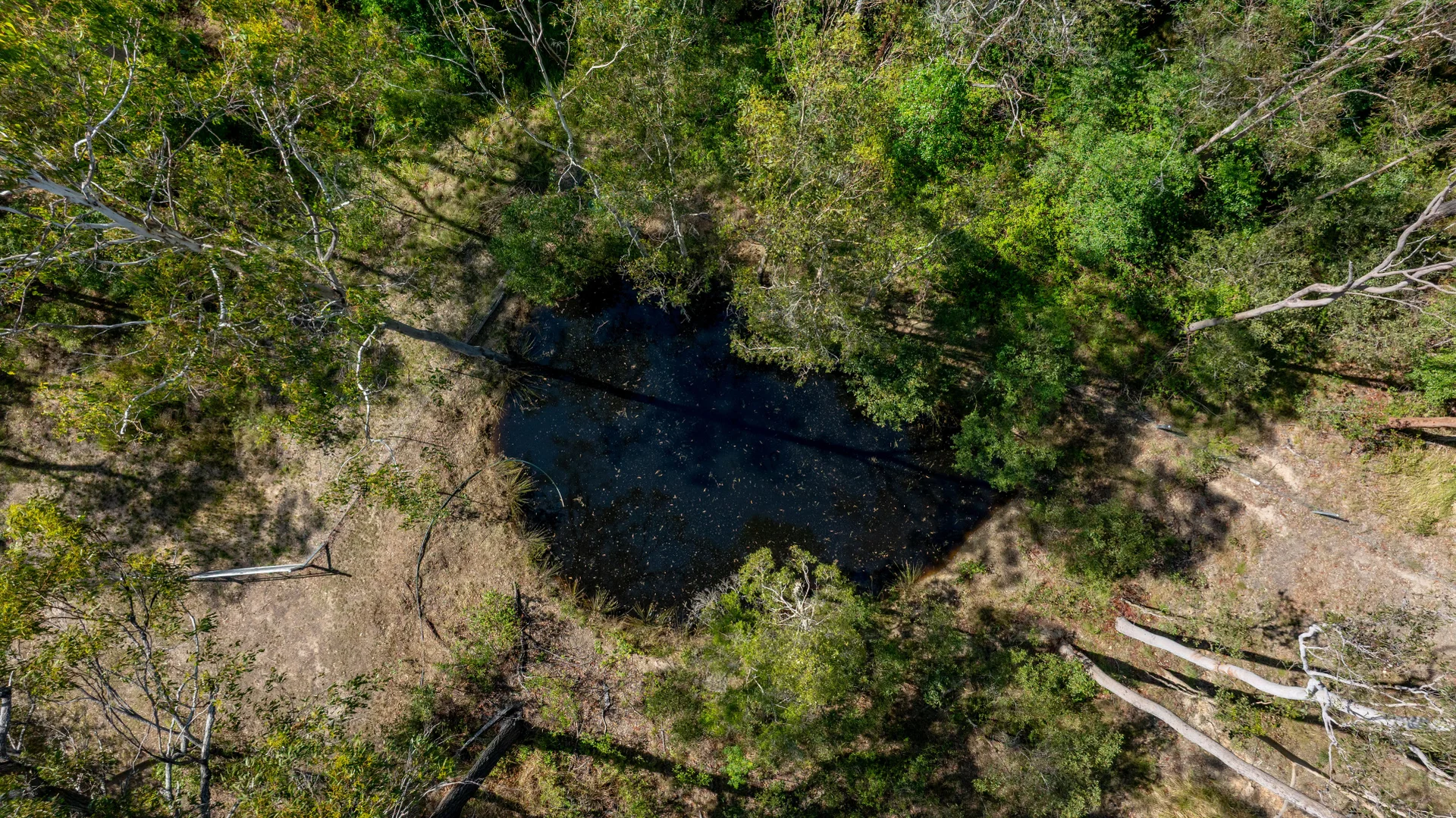 Additional image 28 of 49 Arborfourteen Road, Glenwood QLD 4570