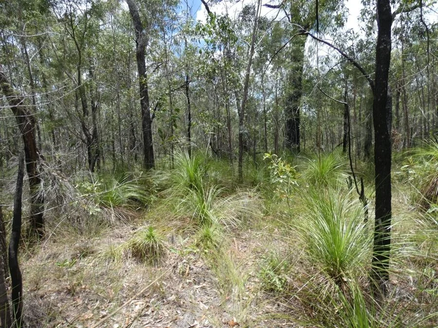 Additional image 10 of 668 Matchbox Road, Deepwater QLD 4674