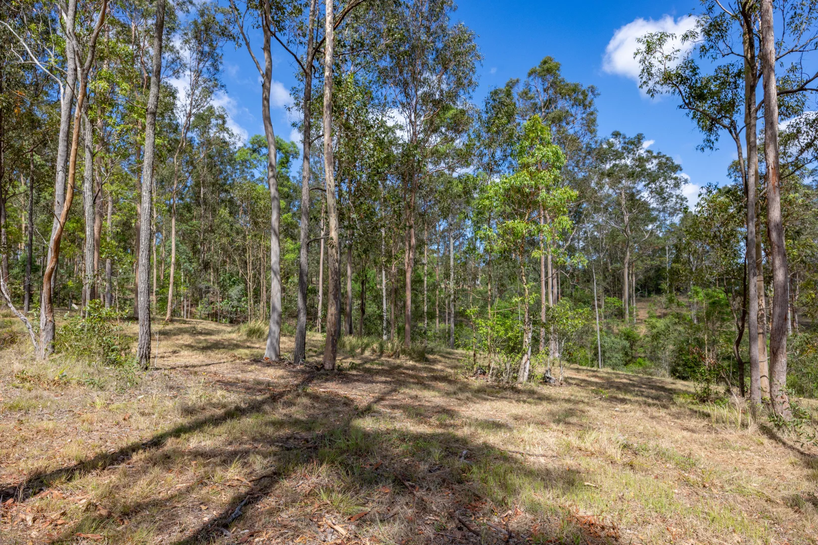 Additional image 5 of 125 Tamaree Road, Tamaree QLD 4570