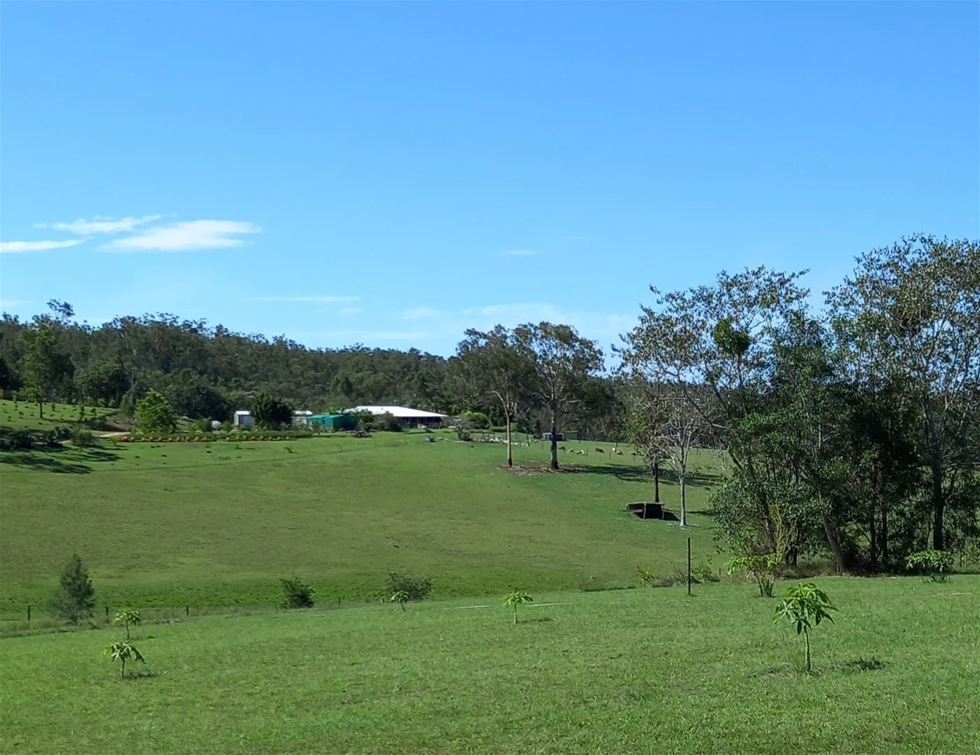 Additional image 8 of Moolboolaman QLD 4671