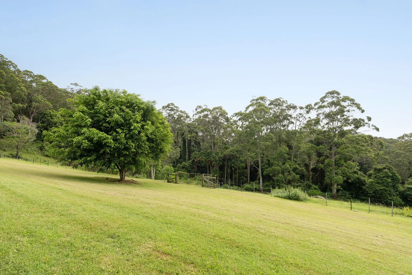 Additional image 8 of 675 The Ridgeway, Tumbi Umbi NSW 2261