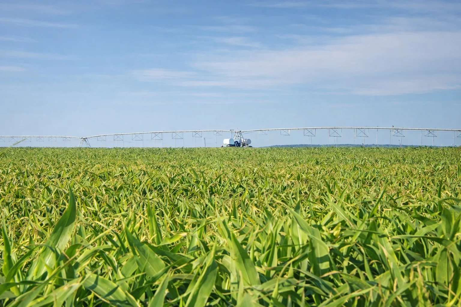 Murrami Road, Murrami NSW 2705