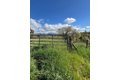 Additional image 45 of 26943 Butterfield Stage Pl, ONeals, CA, 93645