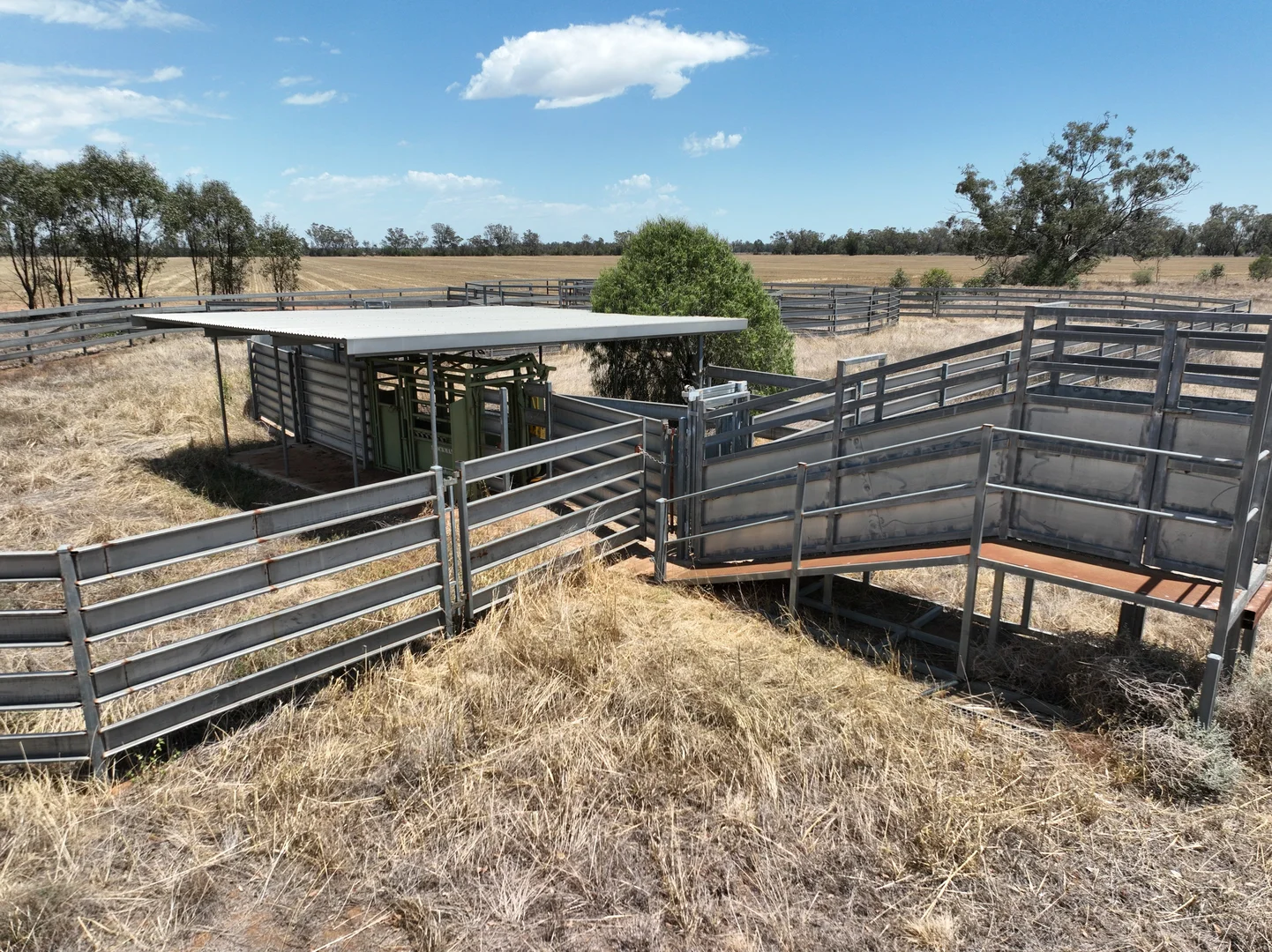 Additional image 12 of 'The Pines' 211 Dicks Camp Road, Collie NSW 2827