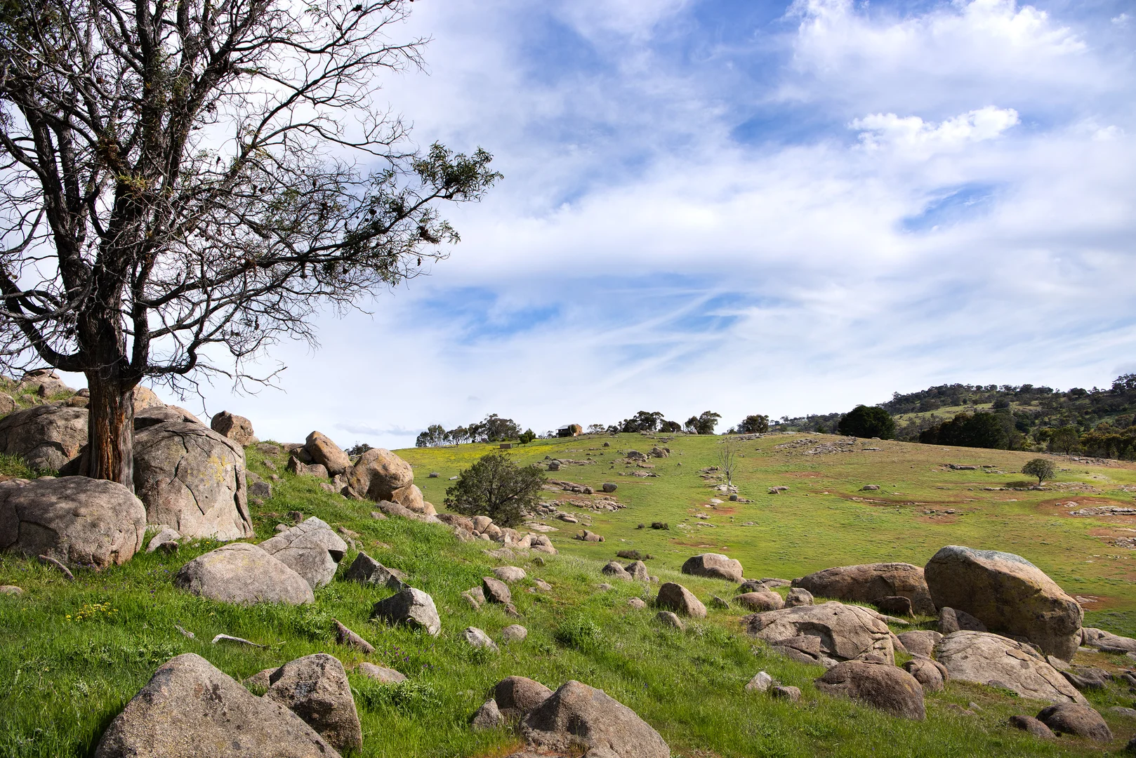 Additional image 5 of 93 Youngs Lane, Sedgwick VIC 3551