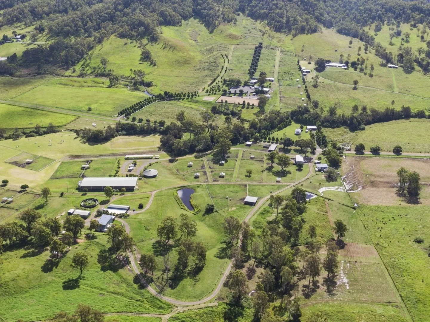 Additional image 28 of 611 Biddaddaba Creek Road, Biddaddaba QLD 4275