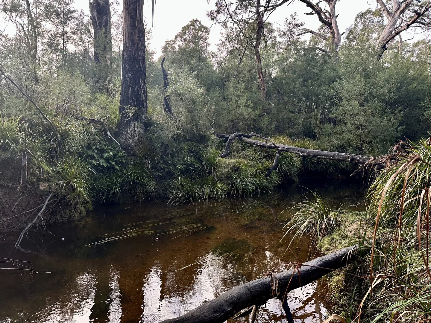 Additional image 2 of 14 Ningee Nimbell Creek Road, Braidwood NSW 2622