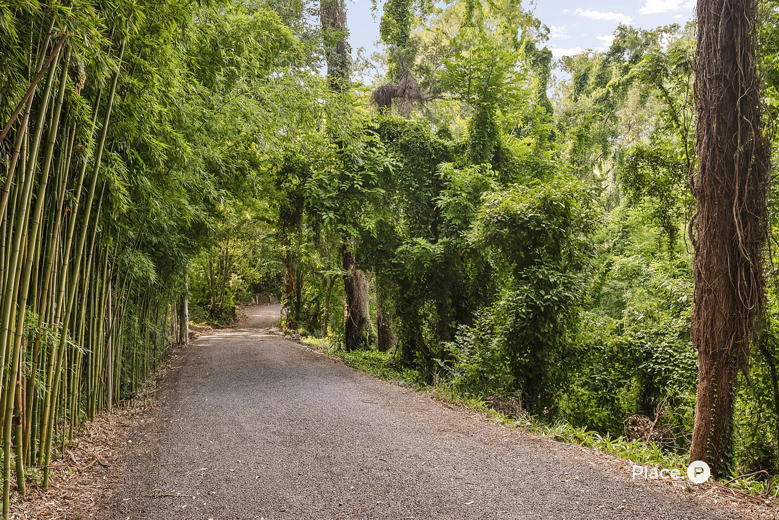 Additional image 6 of 285 Kenmore Road, Fig Tree Pocket QLD 4069