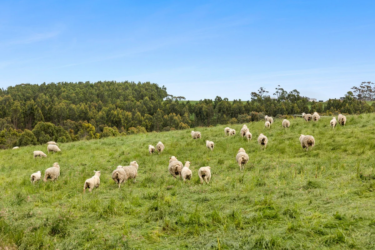Additional image 20 of 65 Coalmine Road, Winchelsea VIC 3241