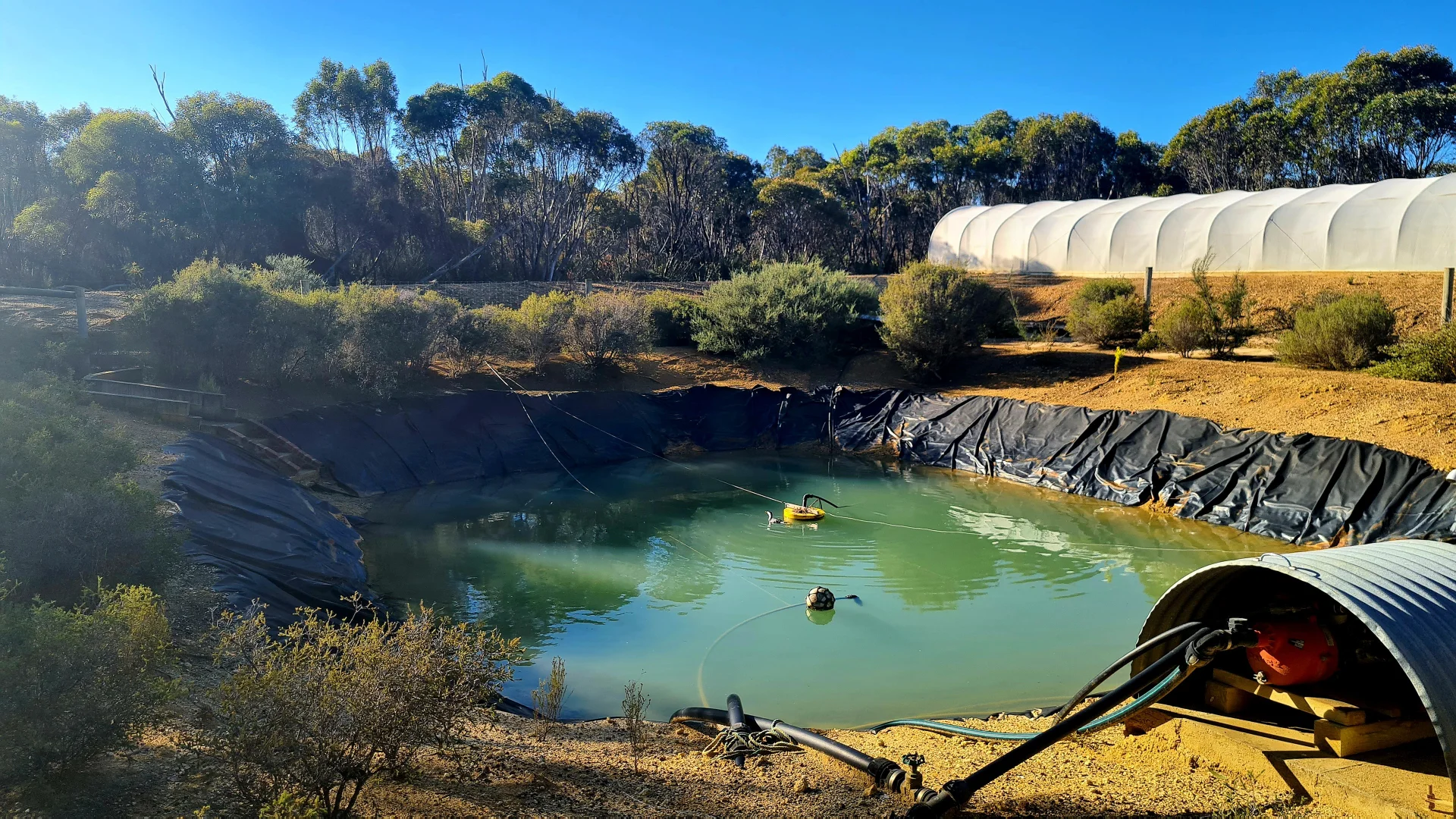 Additional image 16 of 183 Seal Bay Road, Seal Bay SA 5223