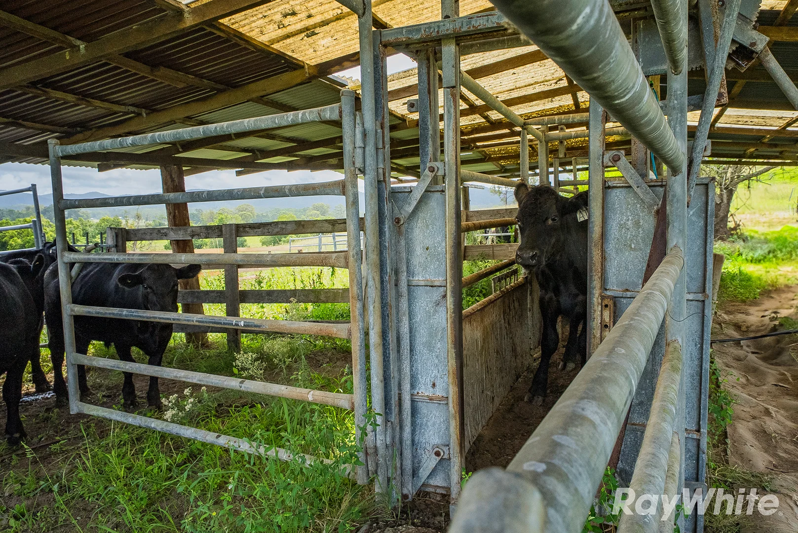 Additional image 15 of 345 Markwell Back Road, Bulahdelah NSW 2423