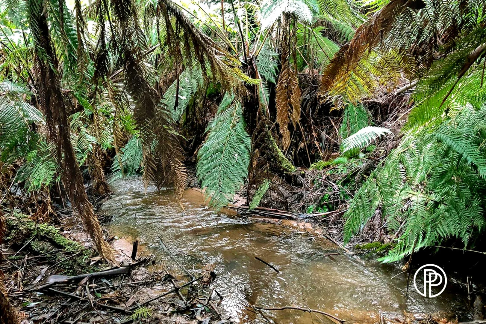 Additional image 8 of 330 Prices Road, Gladysdale VIC 3797