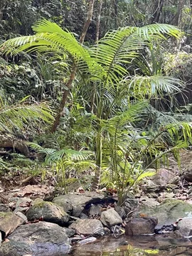 Additional image 13 of 51 Waterfall Place, Jubilee Heights QLD 4860