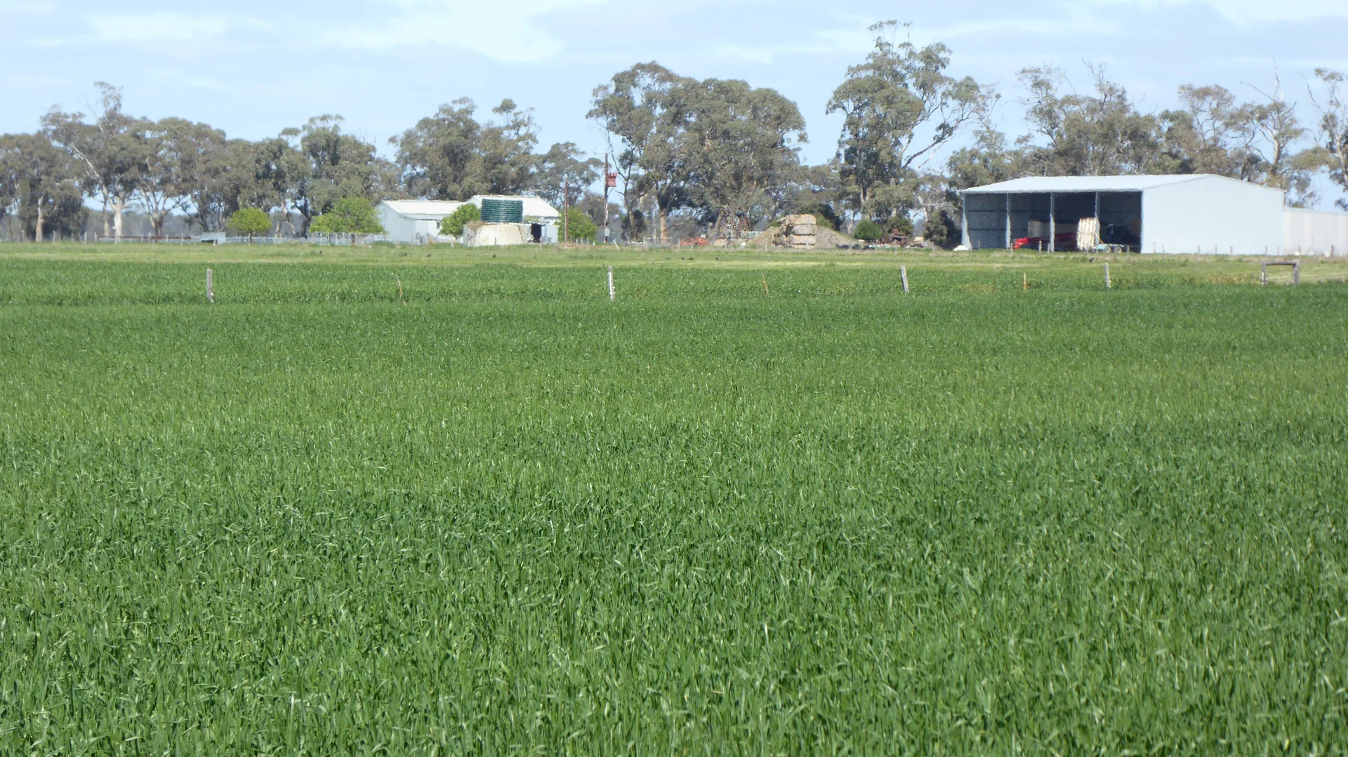 Additional image 11 of 139 Packer Road, Bordertown South SA 5268