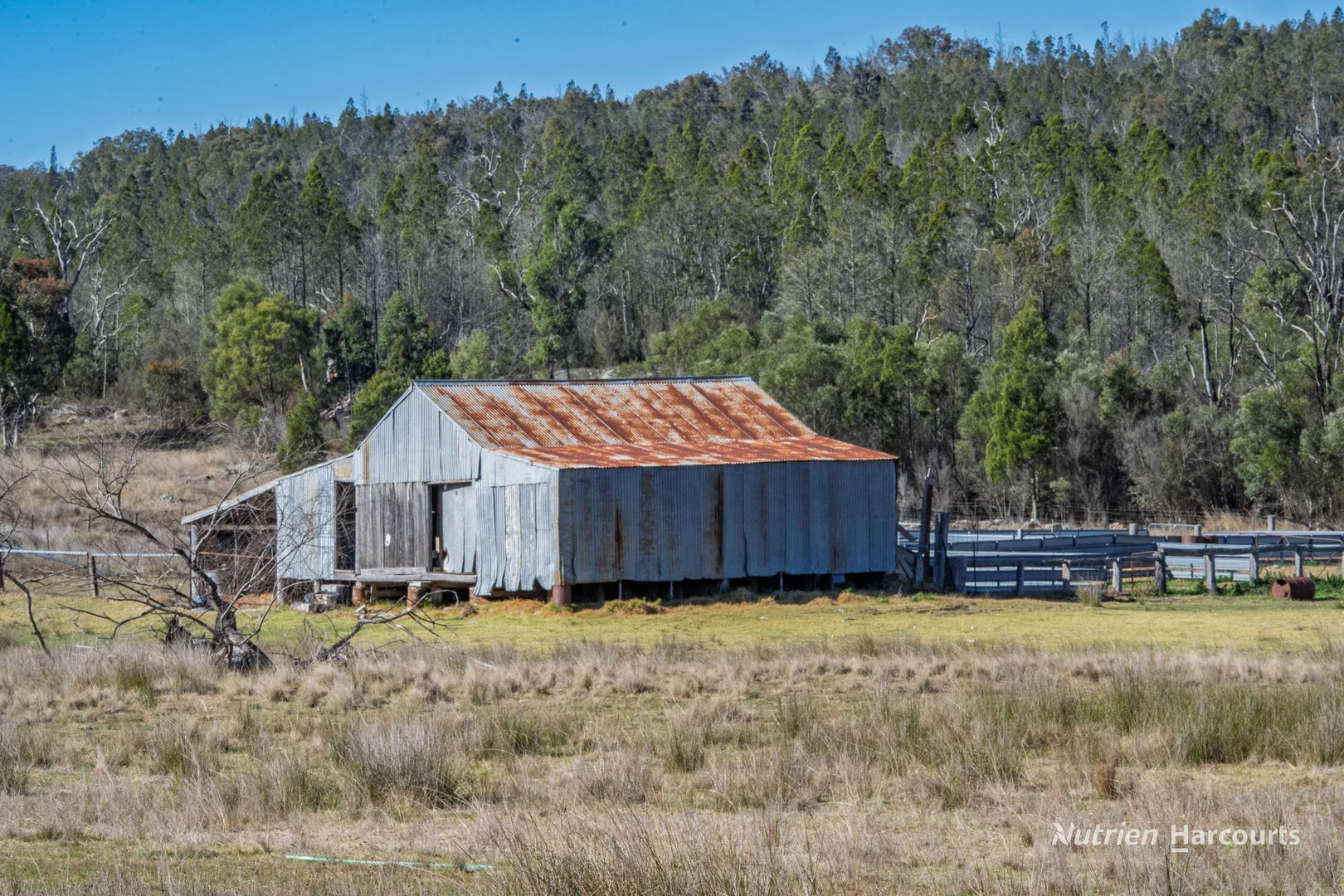 Additional image 10 of 206 - 208 Rocky Glen Road, Kingstown NSW 2358