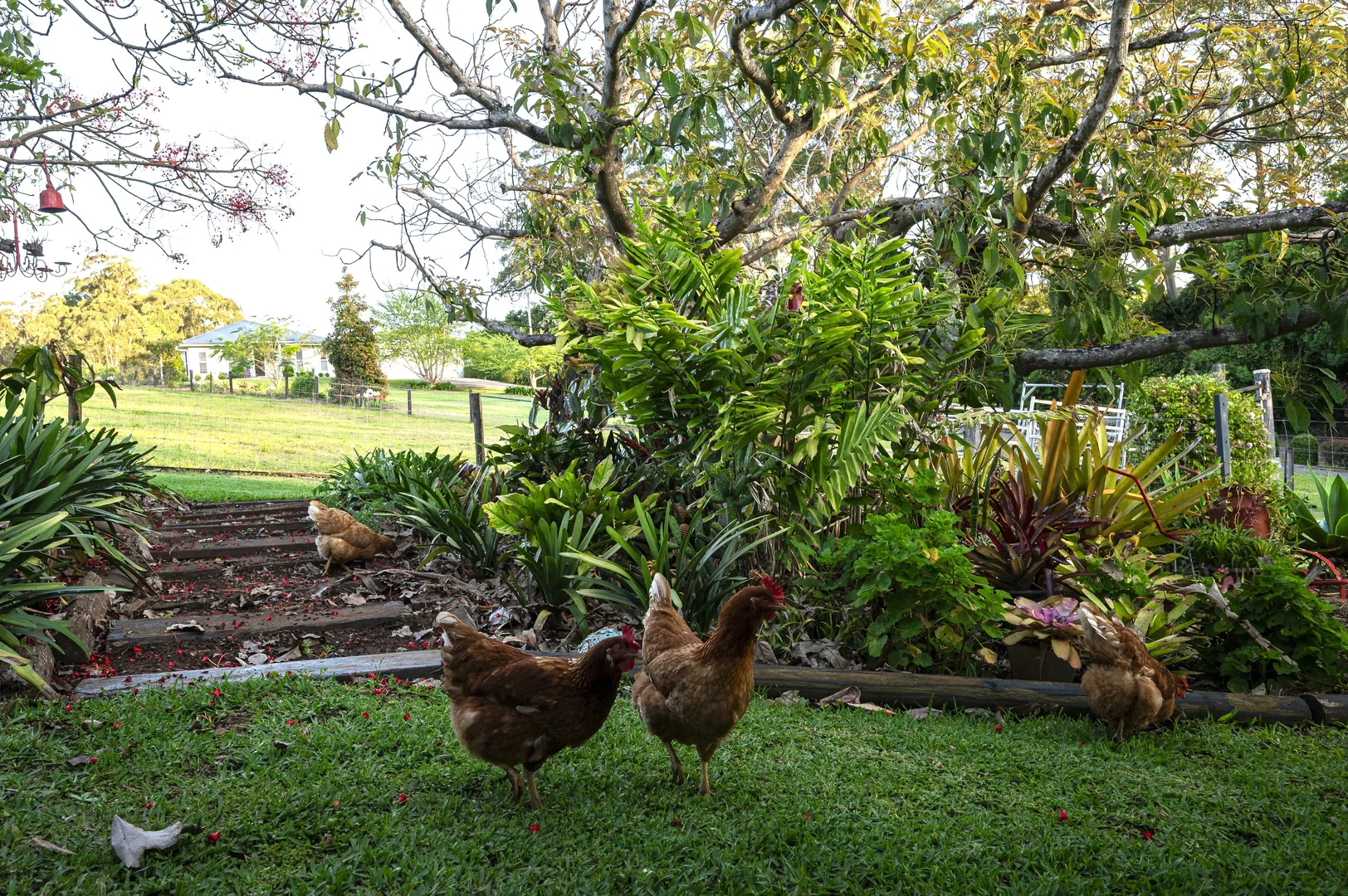 Additional image 17 of 29 Moorhouse Road, Woombye QLD 4559