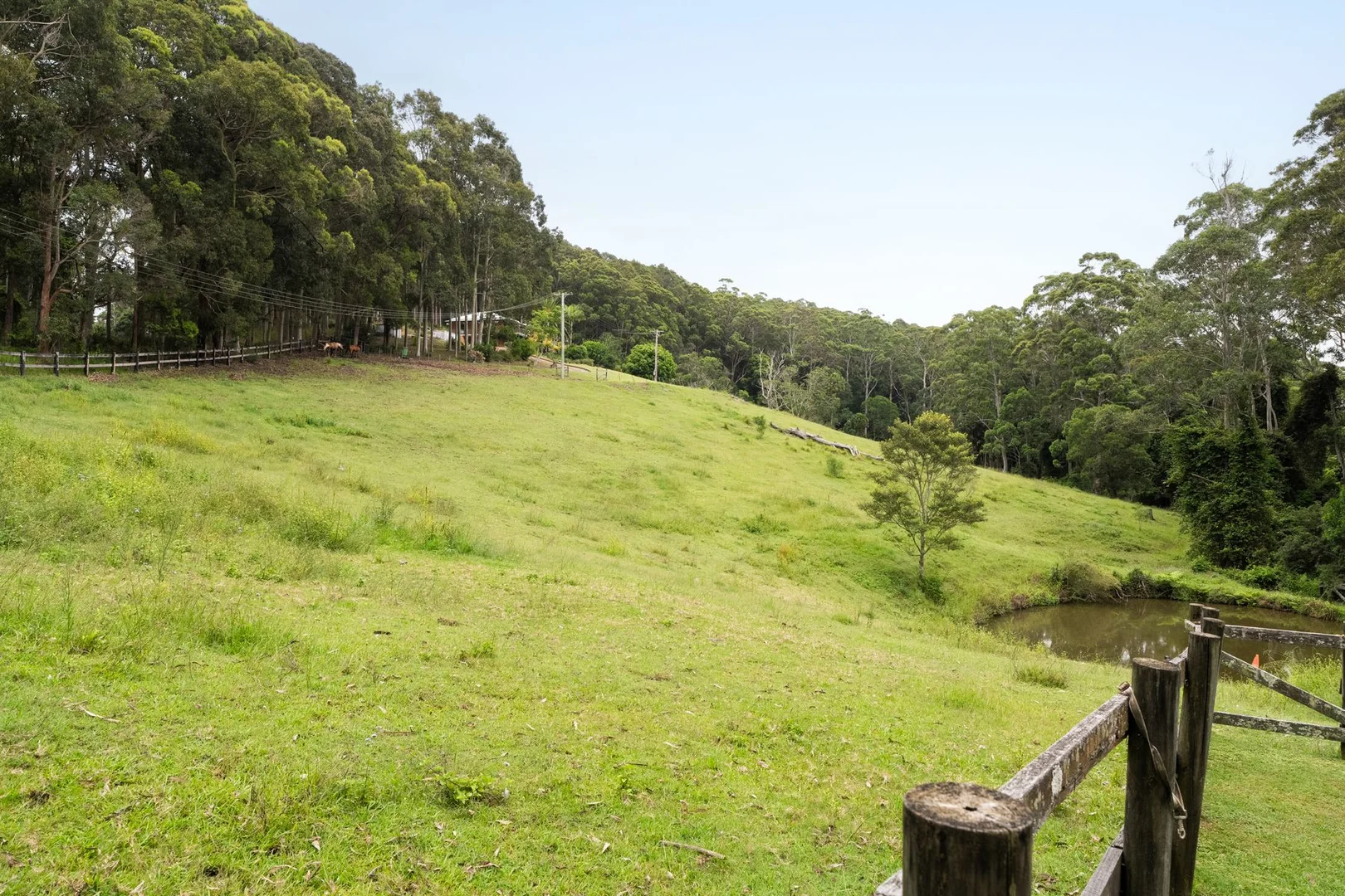 Additional image 30 of 675 The Ridgeway, Tumbi Umbi NSW 2261