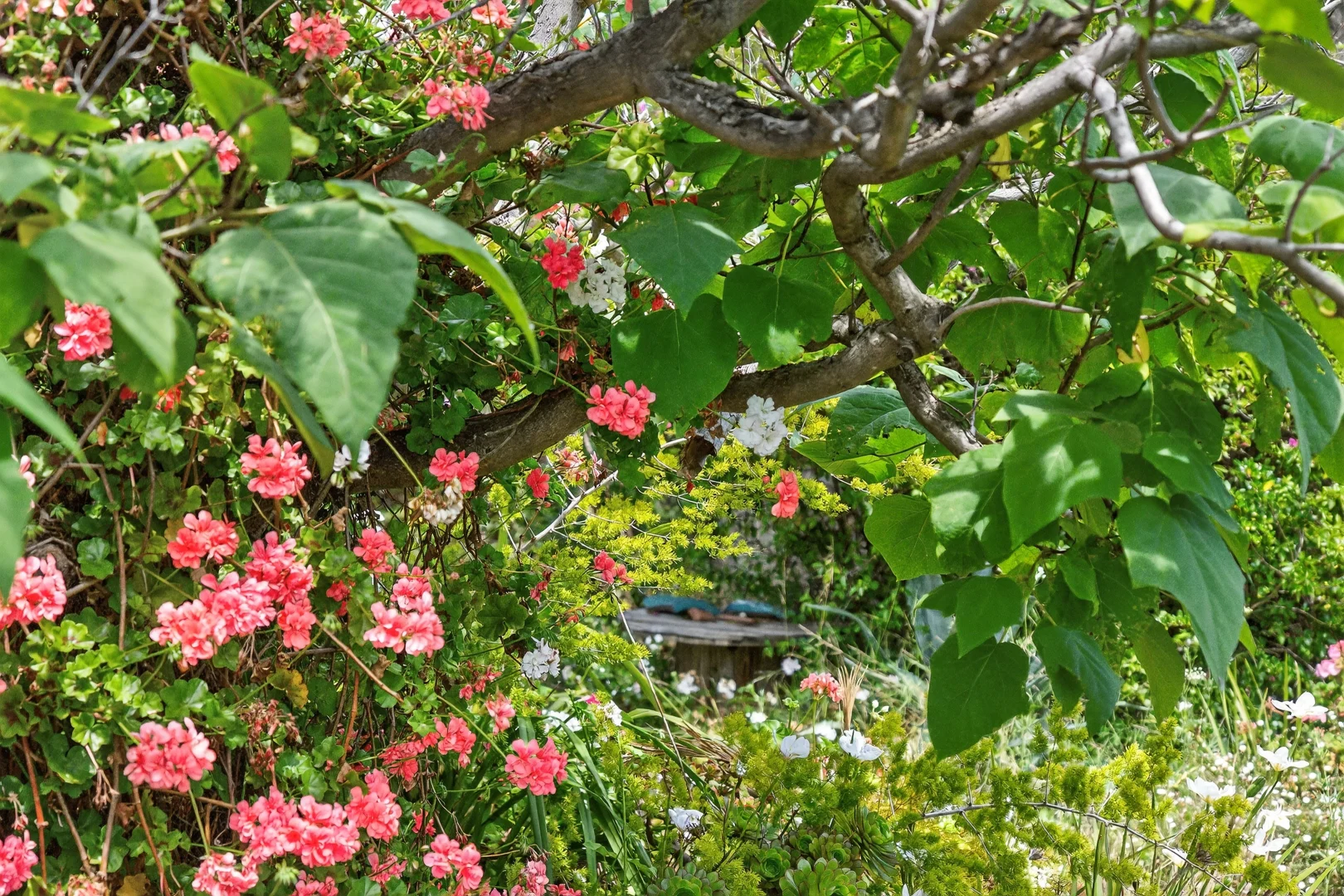 Additional image 32 of 52 Matthew Flinders Drive, Encounter Bay SA 5211