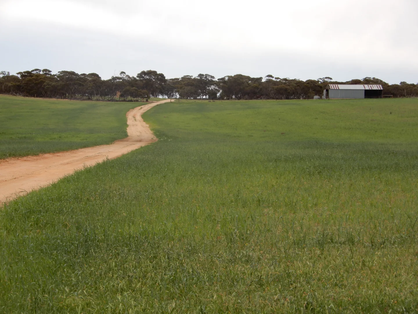 Additional image 8 of 1481 Parrakie North Road, Lameroo SA 5302