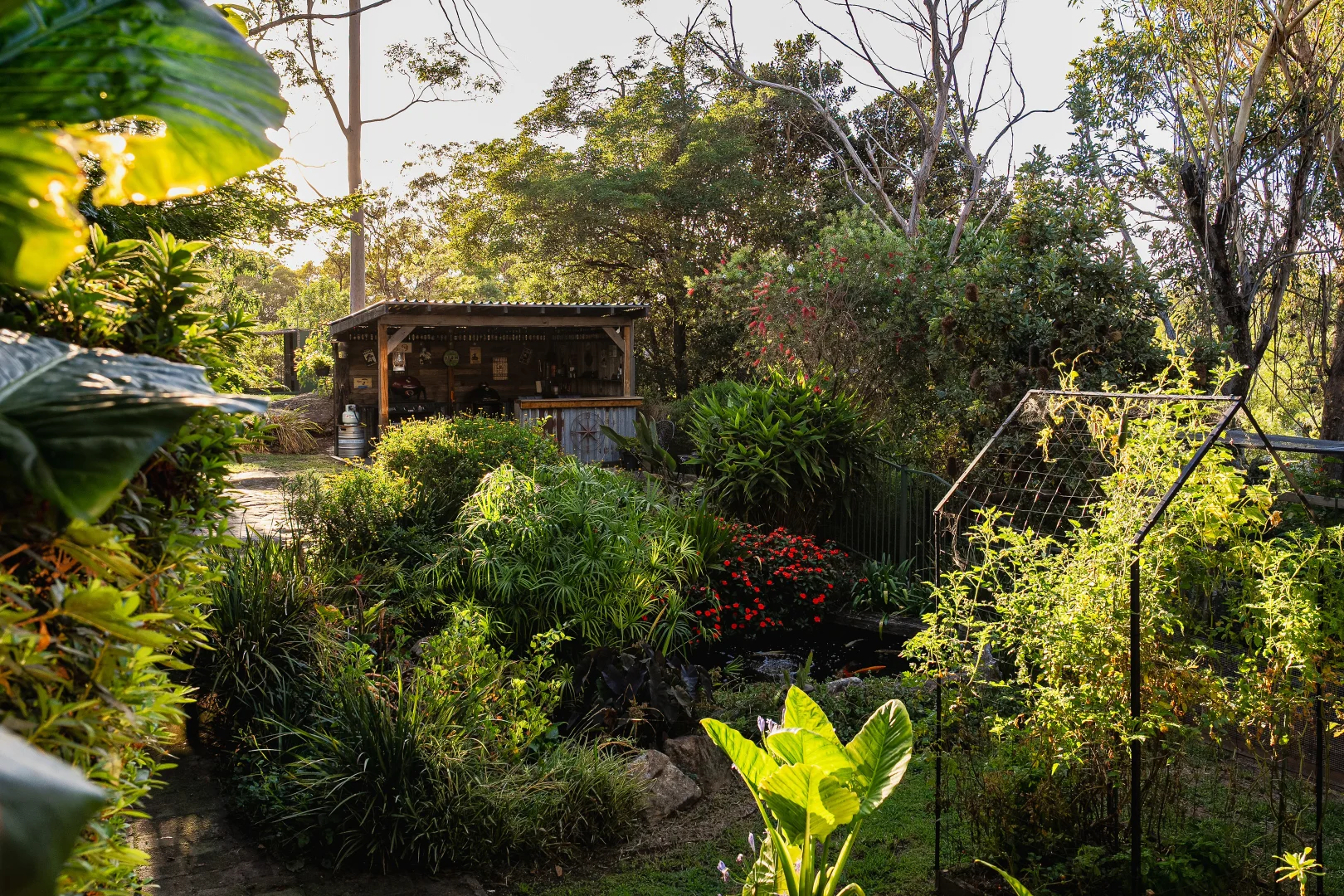 Additional image 19 of 23 Shirlow Avenue, Faulconbridge NSW 2776