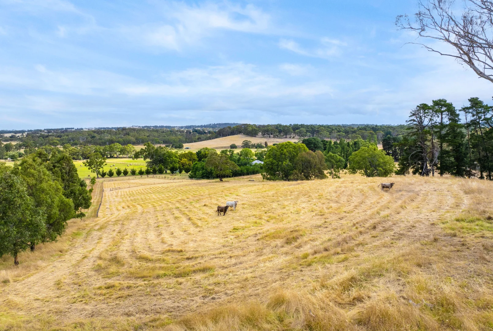 Additional image 37 of 203 Nettle Hill Road, Hindmarsh Valley SA 5211