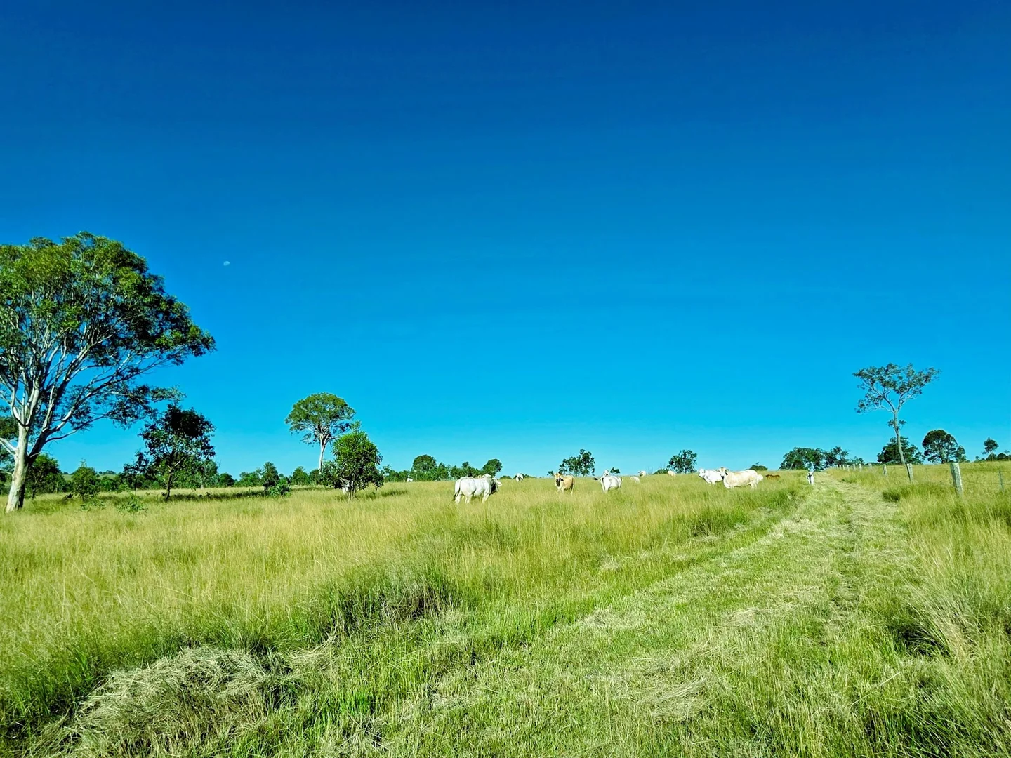 Additional image 10 of Lot 24 Cnr. of the New England Highway & Jacob Road, Crows Nest QLD 4355