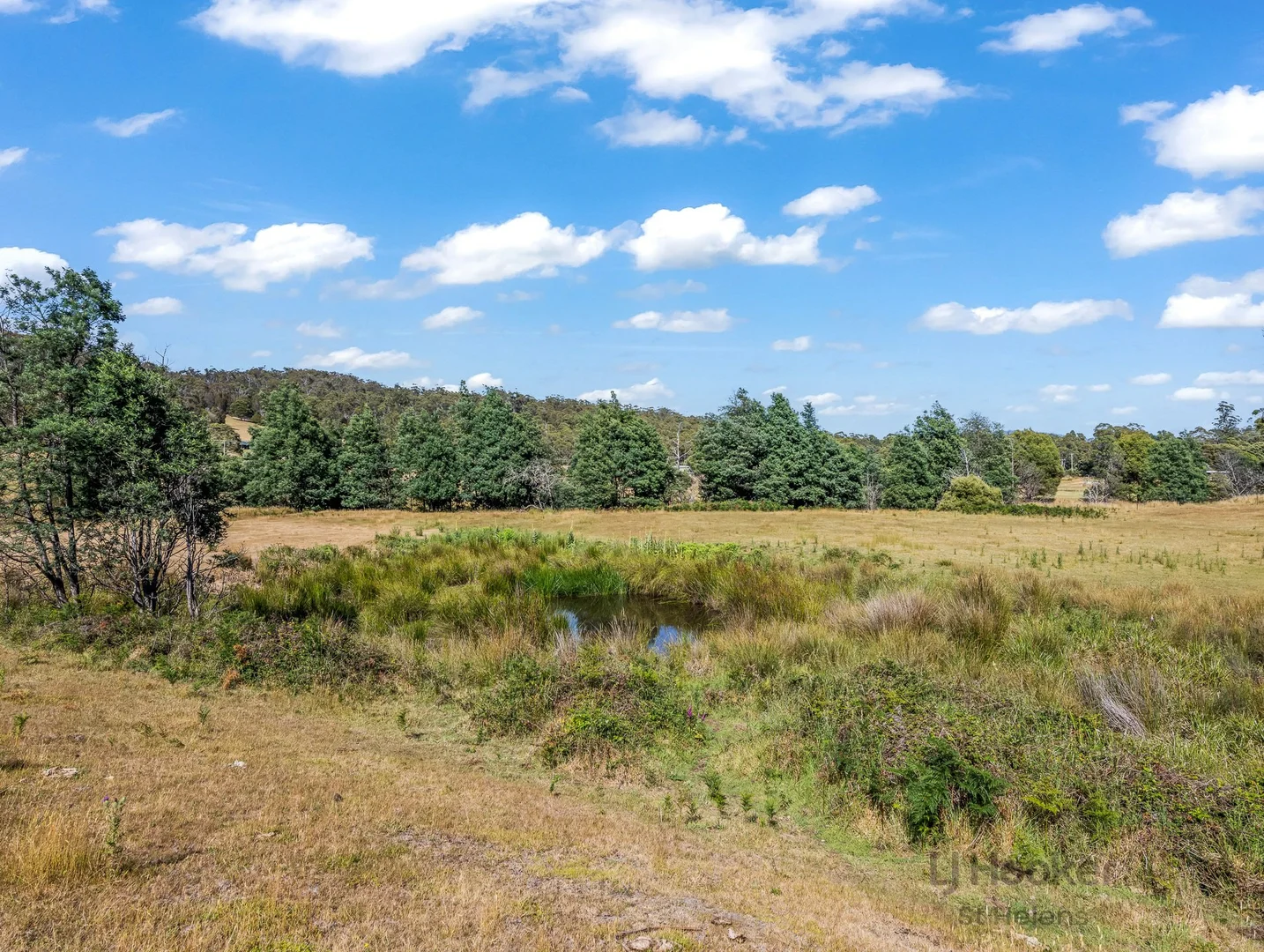 Additional image 18 of 96 Terrys Hill Road, Goshen TAS 7216