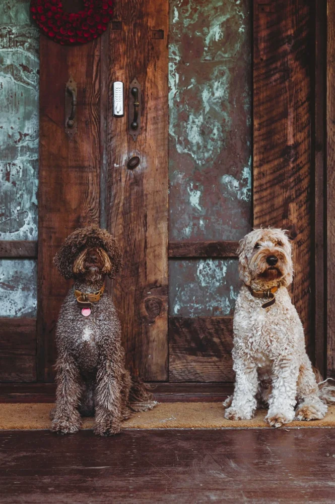 Additional image 3 of 4 Dandy Court, Jan Juc VIC 3228