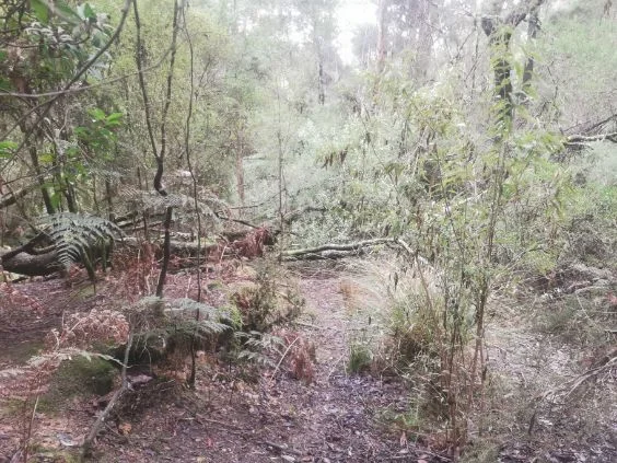 Additional image 8 of 0 Studderds Road, Moorleah TAS 7325