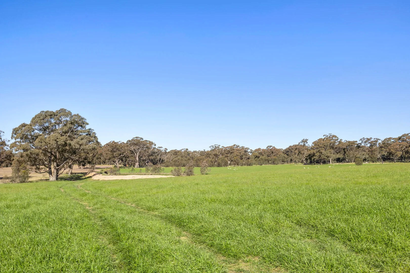Additional image 6 of 189 Siddles Road, Redesdale VIC 3444