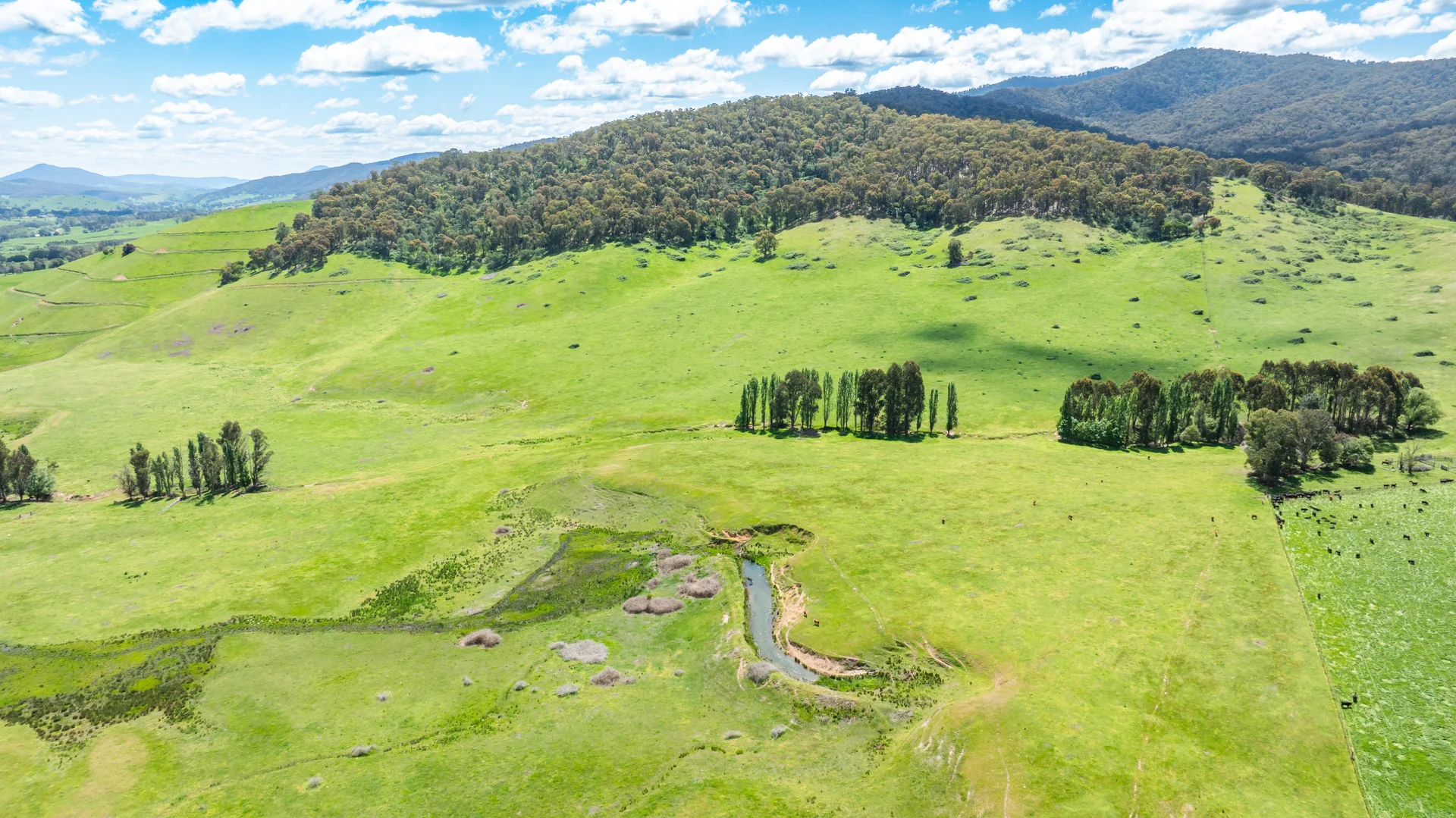 Additional image 10 of 'Grassmere'/2485 Tallangatta Creek Rd, Tallangatta Valley VIC 3701