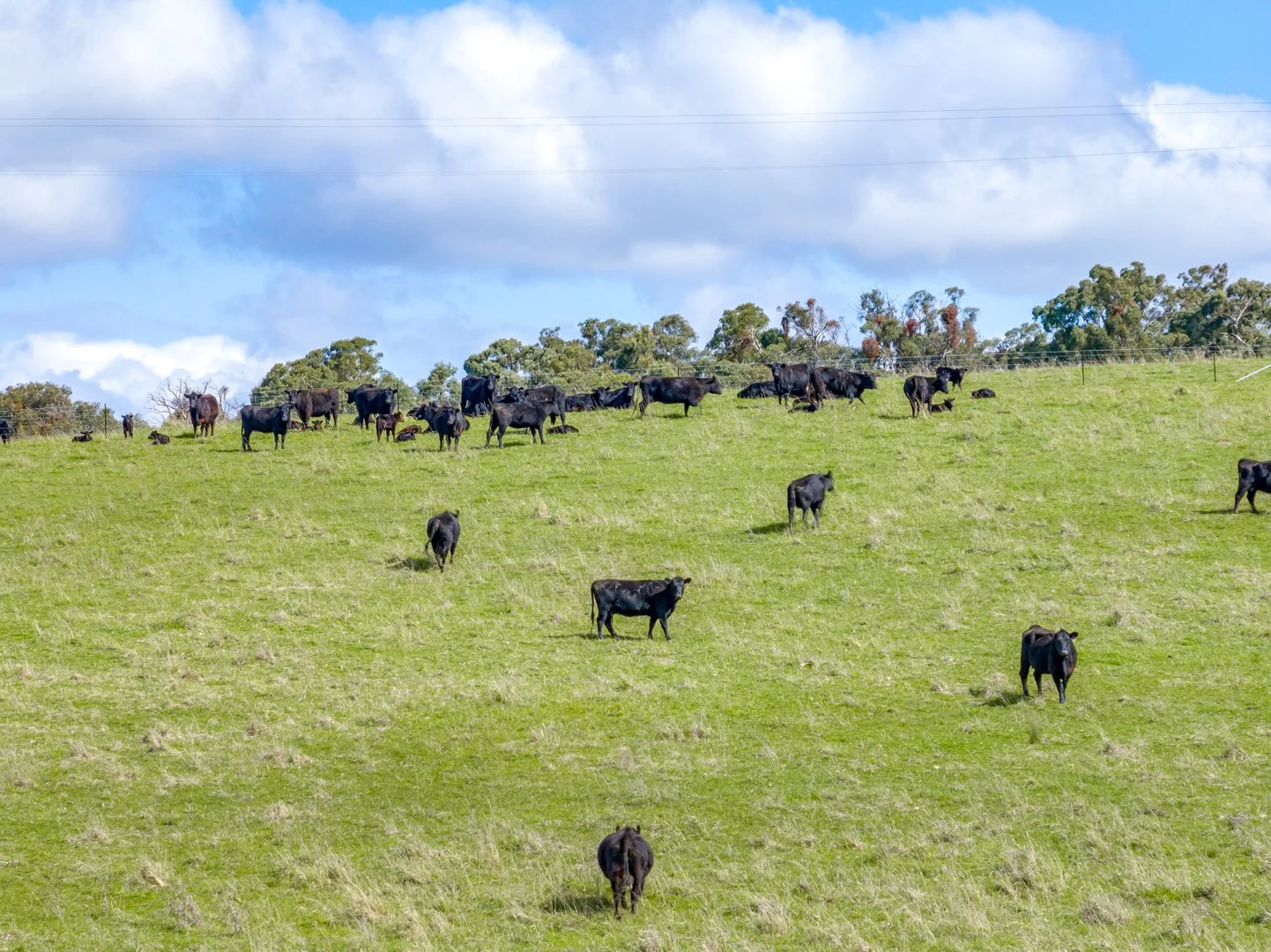 Additional image 6 of 85/1182 Yalbraith Road, Taralga NSW 2580