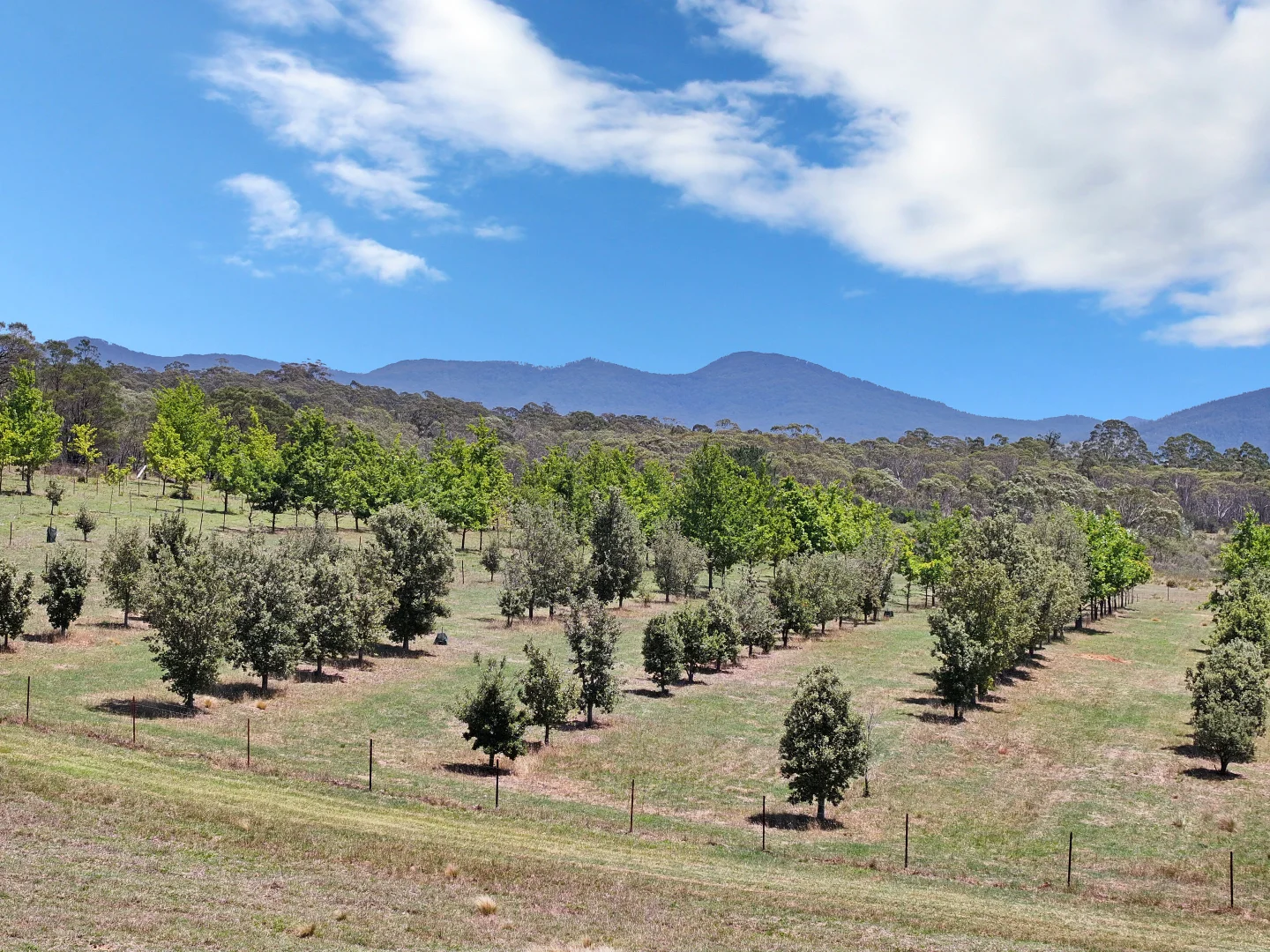 Additional image 7 of 760 Wallaces Gap Road, Braidwood NSW 2622