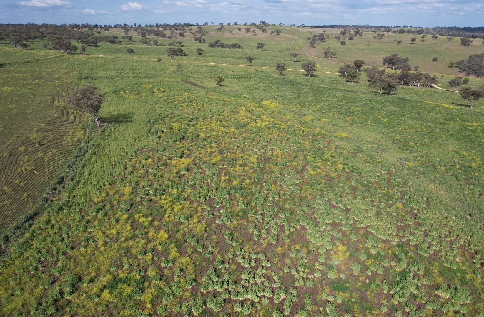 Additional image 2 of Merriwa NSW 2329