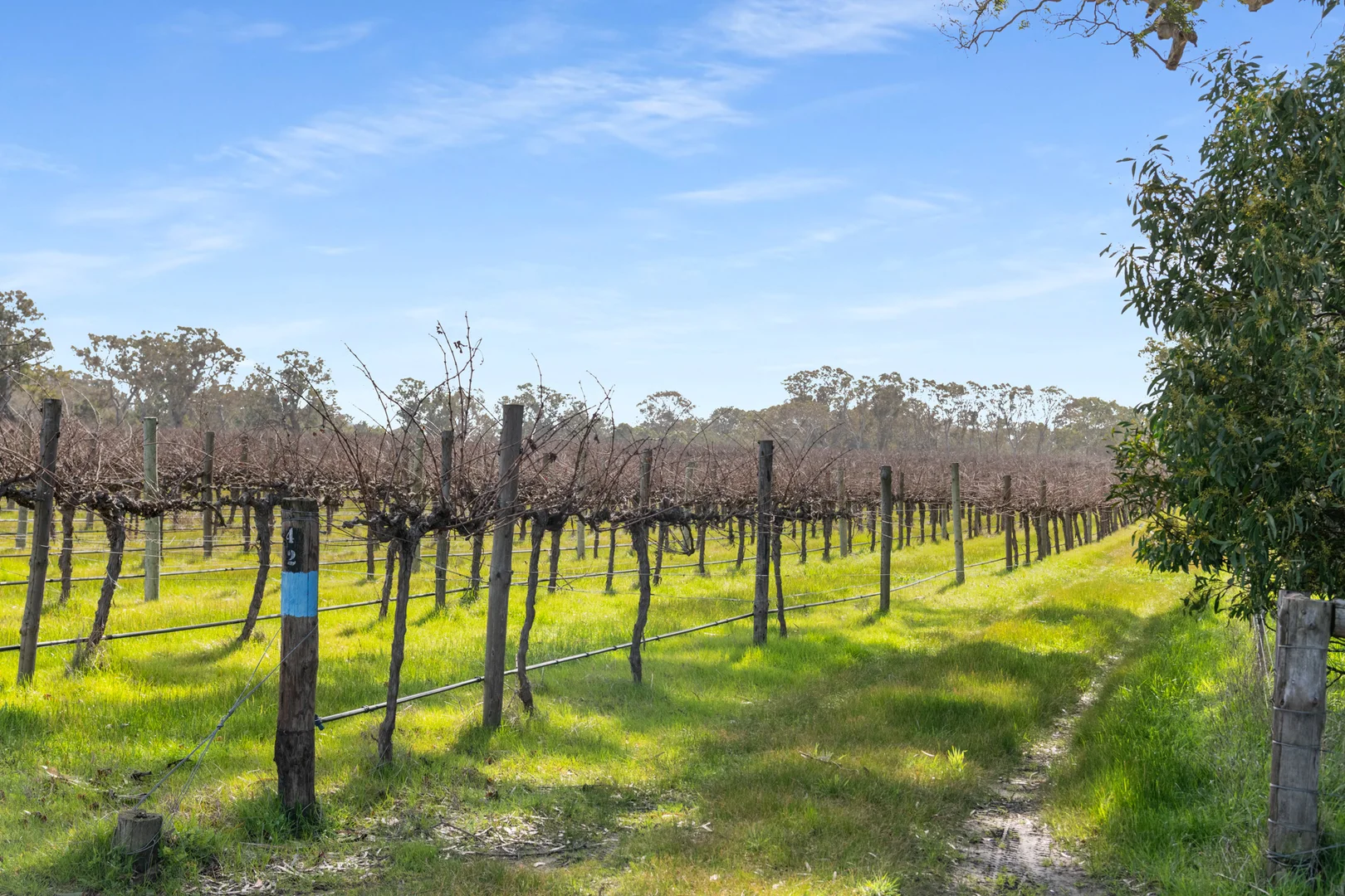 Additional image 12 of Lot 104/108 Dergholm Road, Penola SA 5277